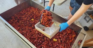 Gatti Family Crawfish Boil Recap
